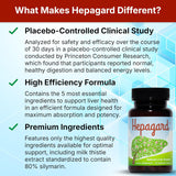 Hepagard Natural Liver Support Supplement with NAC, Vegan, Gluten-Free 30 Count (Pack of 1)