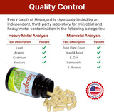 Hepagard Natural Liver Support Supplement with NAC, Vegan, Gluten-Free 30 Count (Pack of 1)